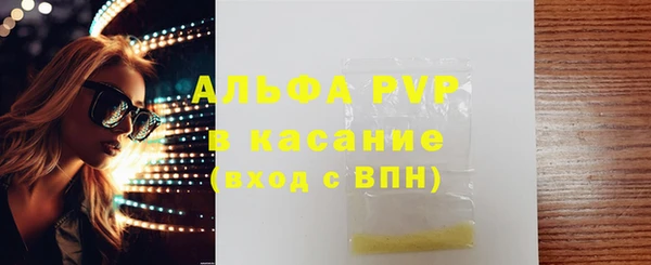 дживик Новозыбков