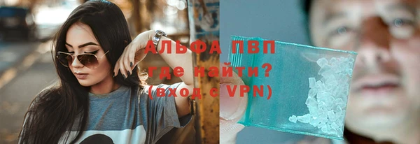 СК Елизово