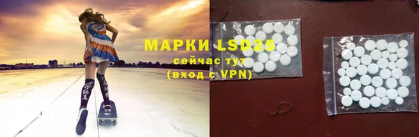 дживик Новозыбков