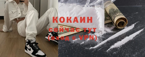 дживик Новозыбков