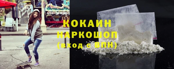 СК Елизово