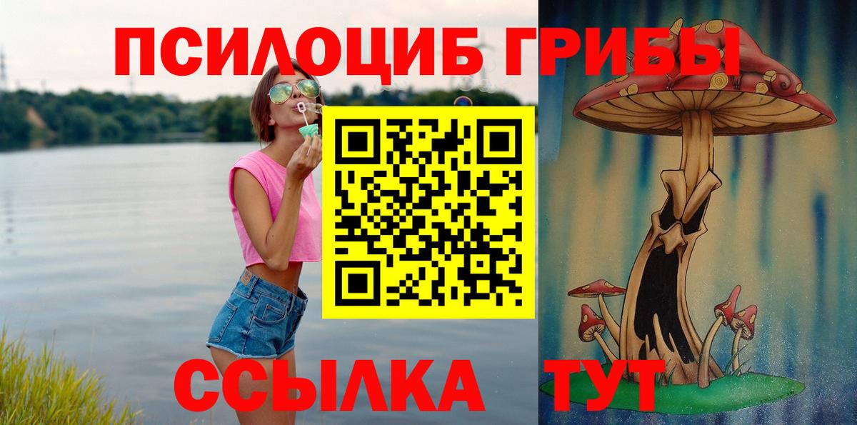 Псилоцибиновые грибы прущие грибы  Псилоцибиновые грибы мицелий  Вход с VPN  купить наркотики сайты  Северобайкальск 