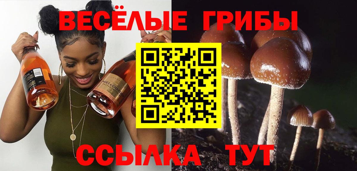 Галлюциногенные грибы GOLDEN TEACHER Северобайкальск