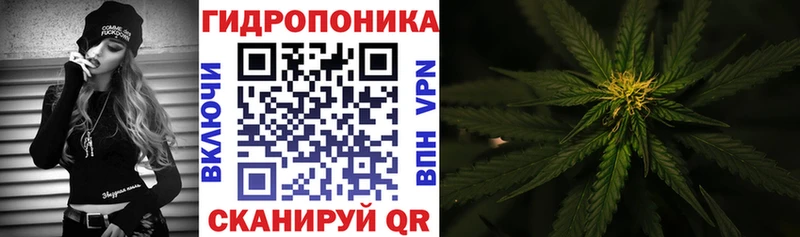 Бошки марихуана Ganja  маркетплейс клад  Северобайкальск 