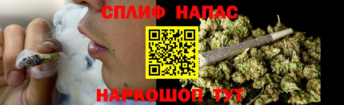 Каннабис индика Северобайкальск
